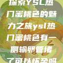 探索YSL热门蜜桃色的魅力之旅ysl热门蜜桃色有一侧输卵管堵了可以怀孕吗  第1张