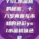 YSL水蜜桃的秘密，十八岁青春与未知的色彩ysl水蜜桃味色号  第1张