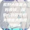 荒野大镖客大妈视频，探索与致敬荒野大镖客大妈视频剧情  第1张