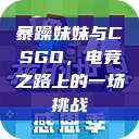 暴躁妹妹与CSGO，电竞之路上的一场挑战  第1张
