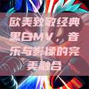 欧美致敬经典黑白MV,音乐与影像的完美融合 第1张 欧美致敬经典黑白MV,音乐与影像的完美融合 第1张