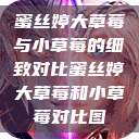 蜜丝婷大草莓与小草莓的细致对比蜜丝婷大草莓和小草莓对比图 第1张 蜜丝婷大草莓与小草莓的细致对比蜜丝婷大草莓和小草莓对比图 第1张