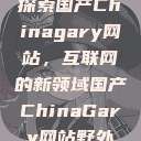 探索国产Chinagary网站，互联网的新领域国产ChinaGary网站野外  第1张