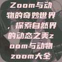 Zoom与动物的奇妙世界，探索自然界的动态之美zoom与动物zoom大全  第1张