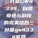 三叶草GW4334，自然奇迹与科技的完美结合三叶草gw4334官网  第1张