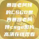 暴躁老阿姨的CSGO世界暴躁老阿姨csgo图片高清在线观看  第1张