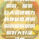 铜铜铜铜铜铜铜铜，探索巨大深色魅力的神秘世界铜铜铜铜铜铜铜铜好大好深色版  第1张