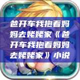 爸开车我抱着妈妈去姥姥家《爸开车我抱着妈妈去姥姥家》小说  第1张