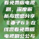 妻子6在线观看免费版电视剧，深度解析与观感分享《妻子6》在线观看免费版电视剧公公与媳妇  第1张