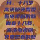 探索青春岁月，十八岁高清版免费观看电视剧的魅力
青春十八载，高清电视剧免费观看的新纪元  第1张