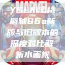 YSL水蜜桃唇釉86a新版与旧版本的深度对比解析水蜜桃  第1张