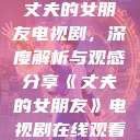 丈夫的女朋友电视剧，深度解析与观感分享《丈夫的女朋友》电视剧在线观看  第1张