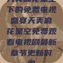 天美麻花星空下的免费电视盛宴天美麻花星空免费观看电视剧最新章节更新时间  第1张