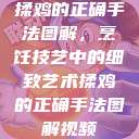 揉鸡的正确手法图解,烹饪技艺中的细致艺术揉鸡的正确手法图解视频 第1张 揉鸡的正确手法图解,烹饪技艺中的细致艺术揉鸡的正确手法图解视频 第1张