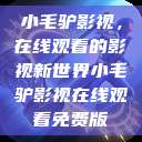 小毛驴影视，在线观看的影视新世界小毛驴影视在线观看免费版  第1张