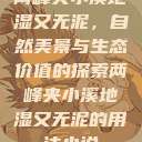 两峰夹小溪地湿又无泥，自然美景与生态价值的探索两峰夹小溪地湿又无泥的用法小说  第1张