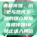 青楼传媒，历史与现代交融的媒介传奇青楼传媒18禁止进入网站  第1张