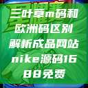 三叶草m码和欧洲码区别解析成品网站nike源码1688免费  第1张