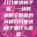 几几寒进桃子里，一场跨越时空的奇妙旅程几几寒进桃子里什么意思  第1张