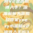 Yeezy水蜜桃V2是否值得入手？深度解析为你揭晓答案yeezy水蜜桃v2值得入手吗345影院  第1张
