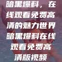 暗黑爆料，在线观看免费高清的魅力世界暗黑爆料在线观看免费高清版视频  第1张