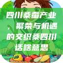 四川桑蚕产业，繁荣与机遇的交织桑四川话啥意思  第1张