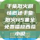 干柴烈火剧情概述干柴烈火115集全免费播放西瓜小说  第1张