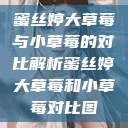 蜜丝婷大草莓与小草莓的对比解析蜜丝婷大草莓和小草莓对比图  第1张