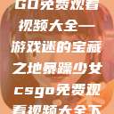 暴躁少女CSGO免费观看视频大全—游戏迷的宝藏之地暴躁少女csgo免费观看视频大全下载  第1张