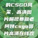 暴躁老阿姨的CSGO风采，高清图片展现暴躁老阿姨csgo图片高清在线观看  第1张