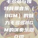 毛多多与独特背景音乐（BGM）的魅力毛多多BGM的演奏乐器介绍  第1张
