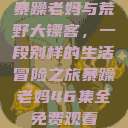 暴躁老妈与荒野大镖客，一段别样的生活冒险之旅暴躁老妈46集全免费观看  第1张