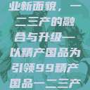 探索中国产业新面貌，一二三产的融合与升级—以精产国品为引领99精产国品一二三产区区观看  第1张