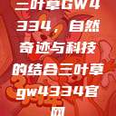 三叶草GW4334，自然奇迹与科技的结合三叶草gw4334官网  第1张