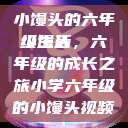 小馒头的六年级生活
小馒头，六年级的成长之旅小学六年级的小馒头视频  第1张