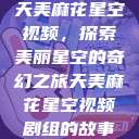天美麻花星空视频，探索美丽星空的奇幻之旅天美麻花星空视频剧组的故事  第1张