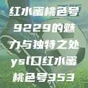 揭秘YSL口红水蜜桃色号9229的魅力与独特之处ysl口红水蜜桃色号35396 第1张 揭秘YSL口红水蜜桃色号9229的魅力与独特之处ysl口红水蜜桃色号35396 第1张