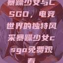 暴躁少女与CSGO，电竞世界的独特风采暴躁少女csgo免费观看  第1张
