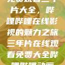 免费观看三年片大全，哔哩哔哩在线影视的魅力之旅三年片在线观看免费大全哔哩哔哩动画  第1张