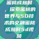 蜜桃成熟时，探索蜜桃的世界与5D技术的交融蜜桃成熟时5d视频  第1张