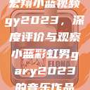 宏翔小蓝视频gy2023，深度评价与观察小蓝彩虹男gary2023的音乐作品  第1张