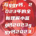 探索小蓝g钙与ggy钙，2023年的全新理解小蓝g钙2023ggy钙2023的功能介绍  第1张