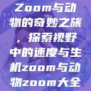 Zoom与动物的奇妙之旅，探索视野中的速度与生机zoom与动物zoom大全  第1张