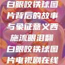 西施流眼泪翻白眼咬铁球图片背后的故事与象征意义西施流眼泪翻白眼咬铁球图片电视剧在线观看  第1张