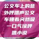 公交车上的意外呼噜声公交车睡着突然吸一口气像呼噜小说  第1张