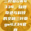 三叶草GW4334，自然奇迹与科技的交融三叶草gw4334官网  第1张