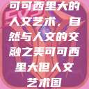 可可西里大的人文艺术，自然与人文的交融之美可可西里大但人文艺术图  第1张