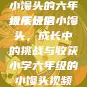 小馒头的六年级成长记
六年级的小馒头，成长中的挑战与收获小学六年级的小馒头视频  第1张