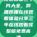 免费观看三年片大全，哔哩哔哩在线观看体验分享三年在线观看完整版免费高清  第1张