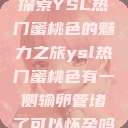 探索YSL热门蜜桃色的魅力之旅ysl热门蜜桃色有一侧输卵管堵了可以怀孕吗 第1张 探索YSL热门蜜桃色的魅力之旅ysl热门蜜桃色有一侧输卵管堵了可以怀孕吗 第1张